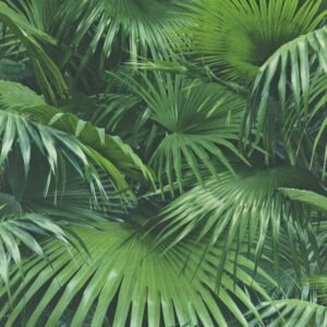 Papel de parede – 524901 - Palma de Bambu